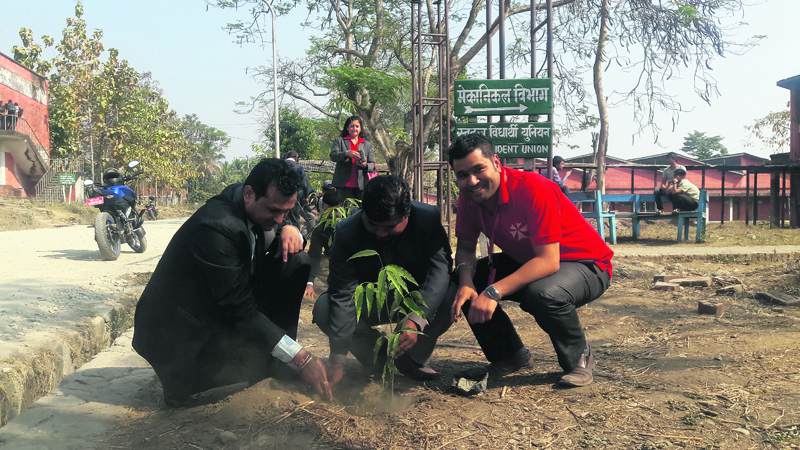 NIC Asia organizes tree plantation in Dharan